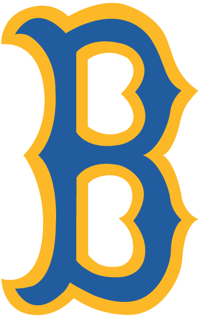 UCLA Bruins 0-Pres Alternate Logo DIY iron on transfer (heat transfer)